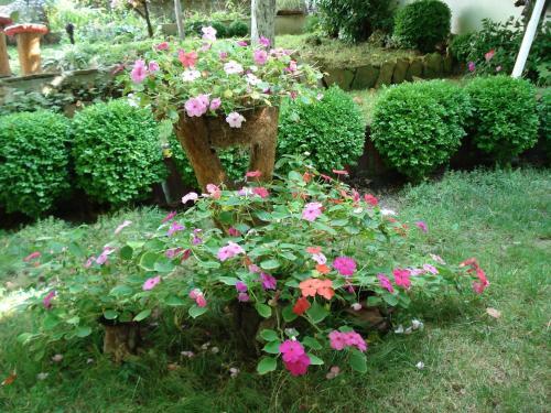 Hostal Villa Exotica