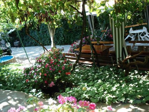 Hostal Villa Exotica
