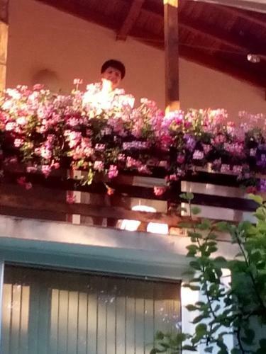 Hostal Villa Exotica