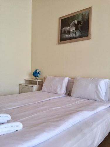 Hotel Alex