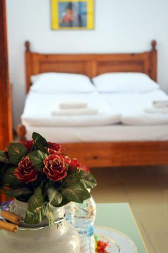 Hotel Alex