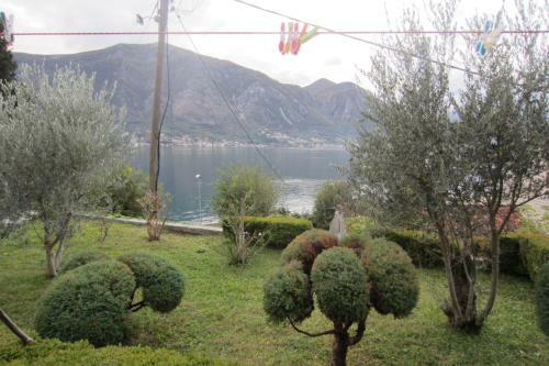 Apartments Villa Garden Del Mare