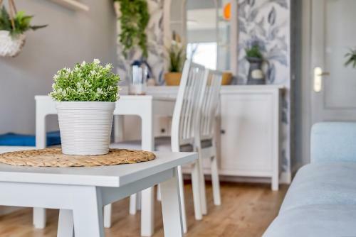 Apartamentos Sur Suites Stella Maris