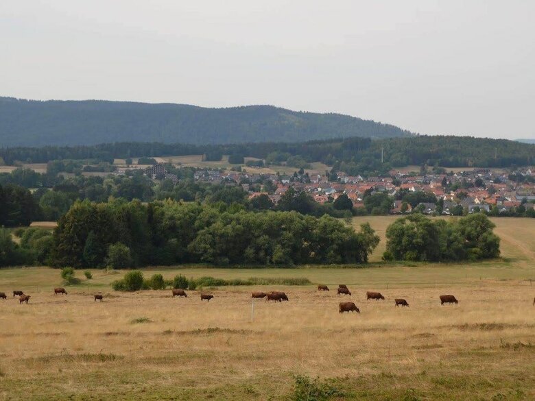 Cosy Apartment In Langelsheim With Private Garden