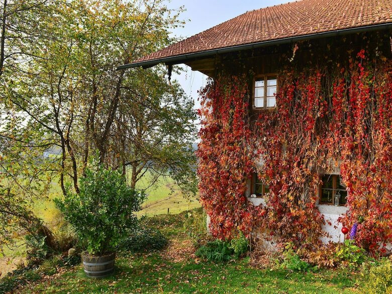 Captivating Apartment In Altreichenau With Garden