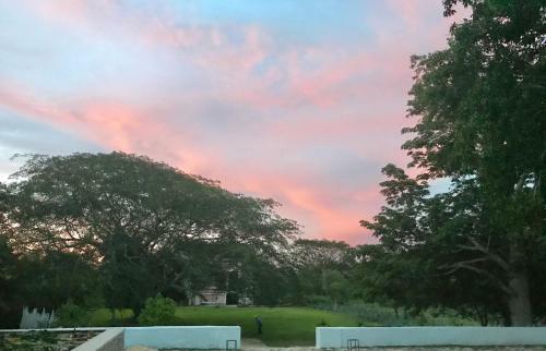 Hacienda San Antonio Choil