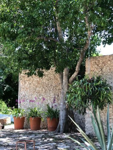 Hacienda San Antonio Choil