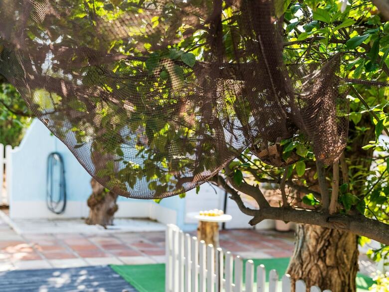 Sun-baked Bungalow In Oliva With Swimming Pool