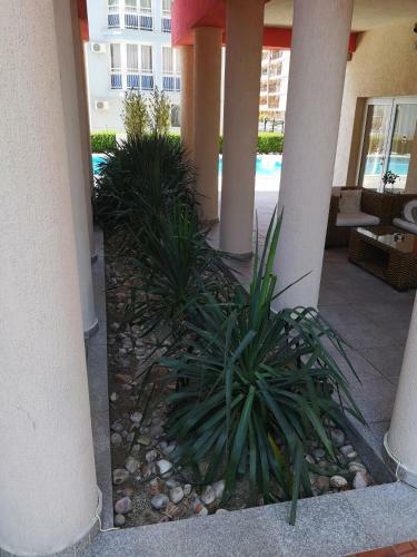 Aparthotel Rose Garden Omax Hotel Apartments