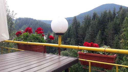Hostal Guest House Stoletnika