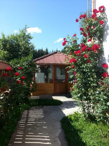 Hostal Guest House Stoletnika