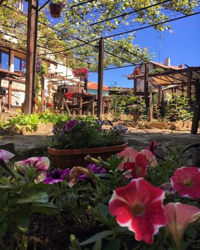 Troyan Plaza Hotel