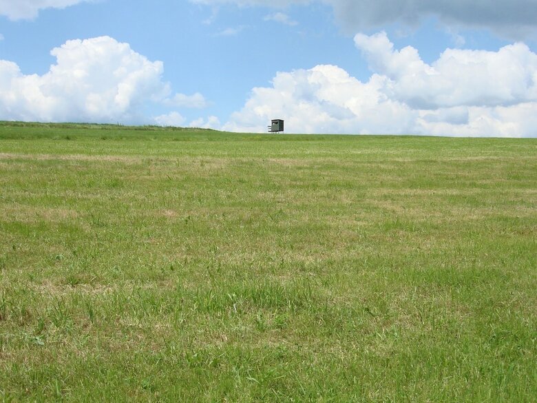 Cozy Holiday Home In Hallenberg With Terrace