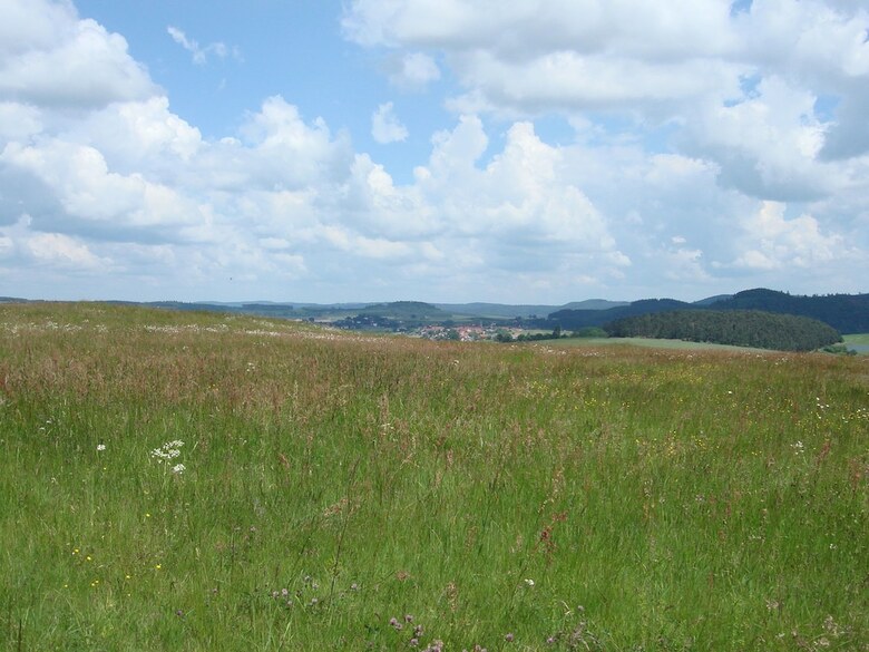 Cozy Holiday Home In Hallenberg With Terrace