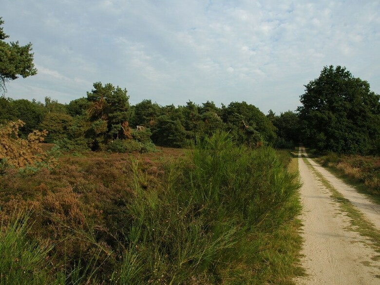 Attractive Bungalow With A Covered Terrace Near The Veluwe