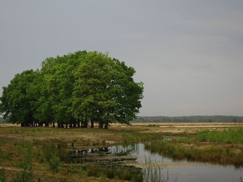 Attractive Bungalow With A Covered Terrace Near The Veluwe