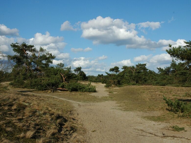 Attractive Bungalow With A Covered Terrace Near The Veluwe