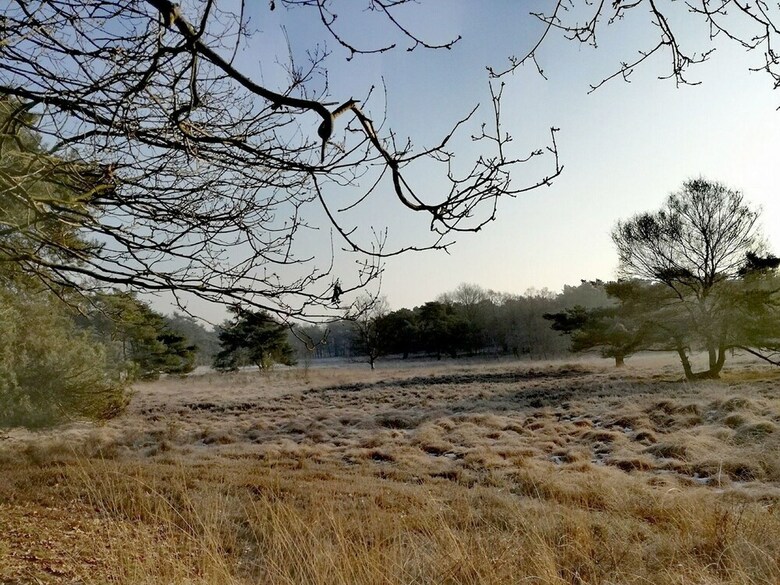 Tidy Bungalow With Garden Located In Natural Area