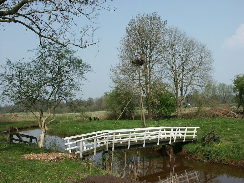 Comfy Holiday Home With A Dishwasher, Near Meppel