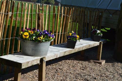 Bed & Breakfast Trekkershut Overnachting Hoeve Carpe Diem