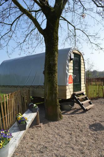 Bed & Breakfast Trekkershut Overnachting Hoeve Carpe Diem