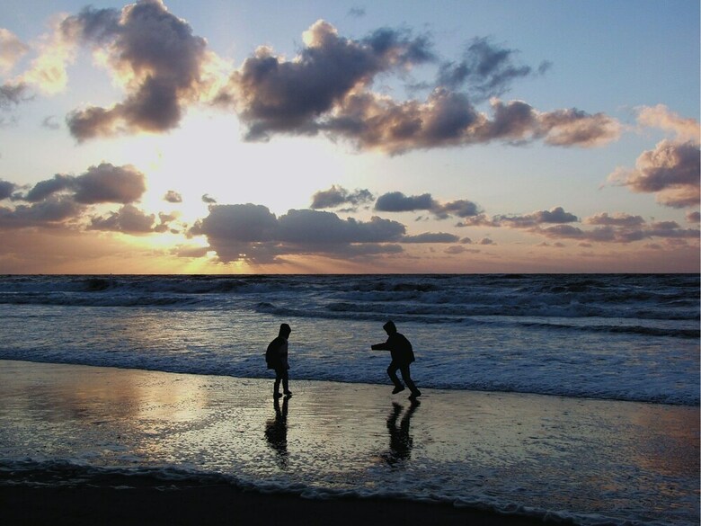 Luxury Chalet With Two Bathrooms, 2 Km From The Sea On Texel
