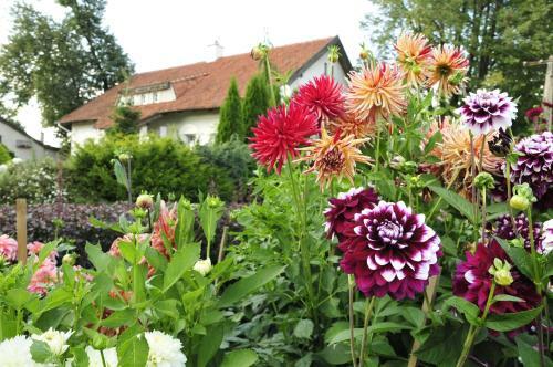 Agroturystyka Orzechowe Wzg�rze