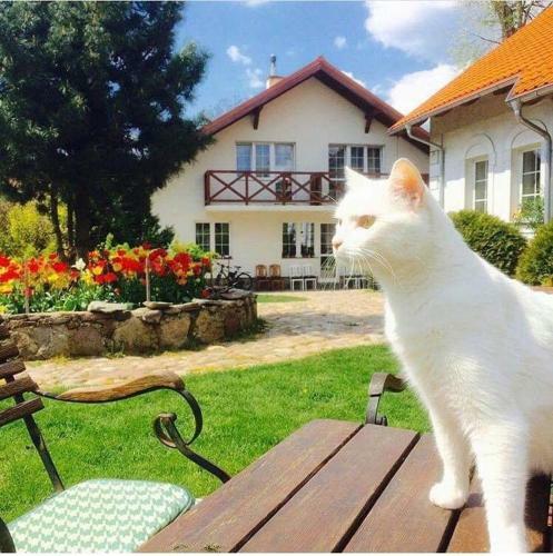 Agroturystyka Orzechowe Wzg�rze