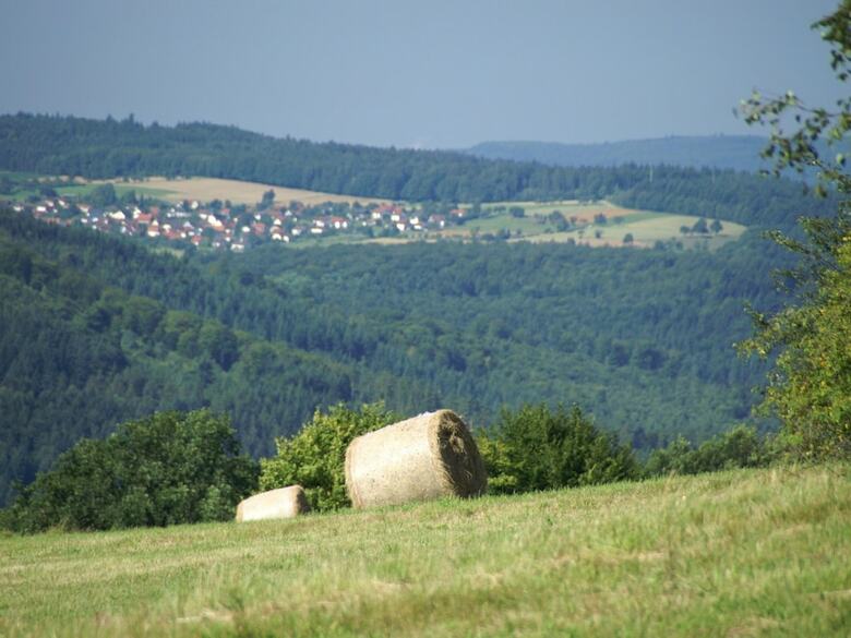 Detached, Nice Bungalow On Katzenbuckel Mountain