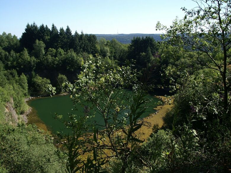 Detached, Nice Bungalow On Katzenbuckel Mountain