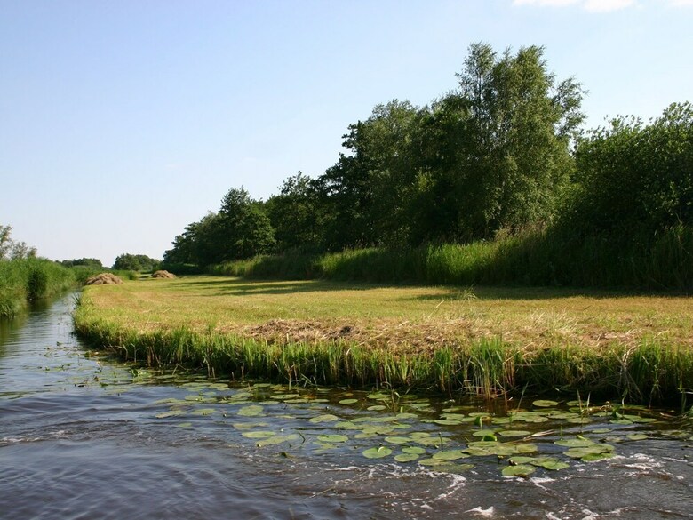 Spacious Thatched Villa With Dishwasher, In A National Park