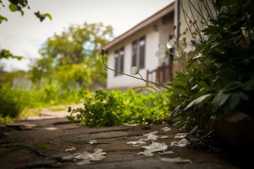 Hostal Mutafova Guest House