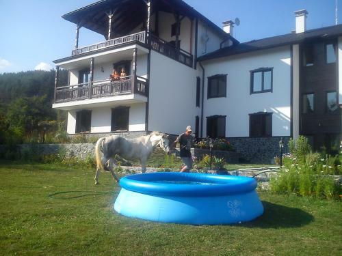 Hotel Rusaliite Adventure House