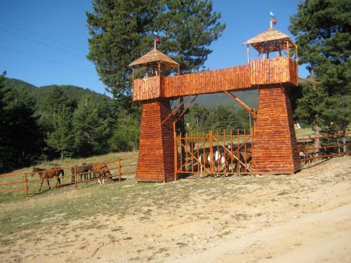 Hotel Rusaliite Adventure House