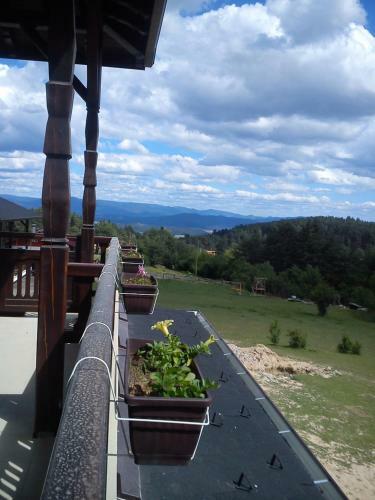 Hotel Rusaliite Adventure House