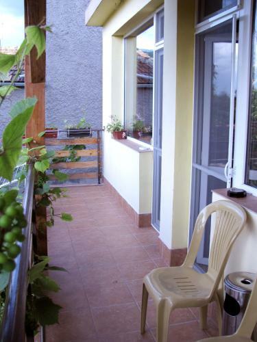 Hostal Guest House Family