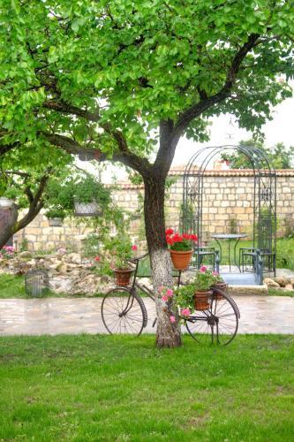 Hostal Villa Bulgara Eco