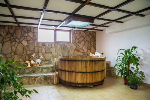 Spa Hotel Rimska Banya