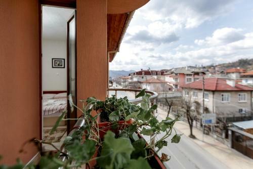 Family Hotel Aleks