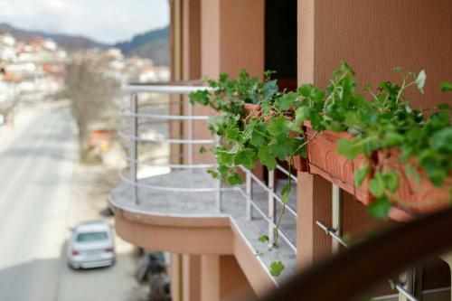 Family Hotel Aleks