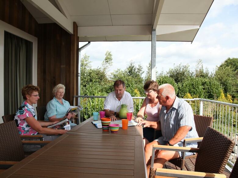 Detached Villa With Dishwasher, At 17 Km. From Leeuwarden