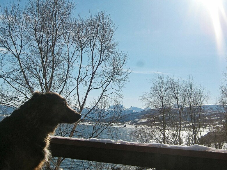 6 Person Holiday Home In Hamnvik