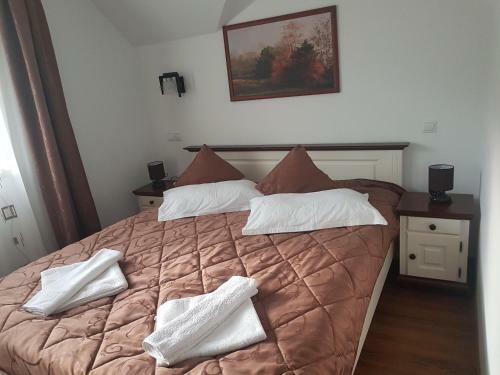 Hostal Pensiunea Andrade