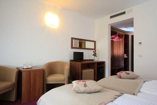Hotel Domnitei