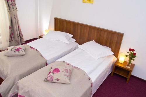 Hotel Domnitei