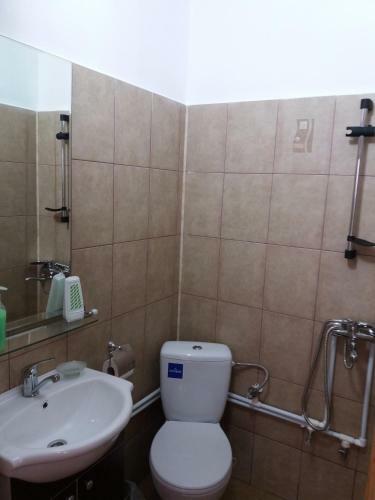 Hostal Pensiunea Lili Novaci