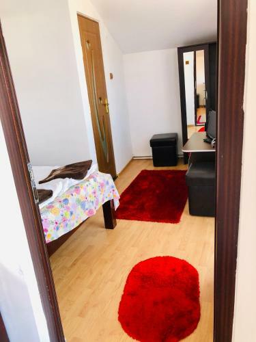 Hostal Pensiunea White House