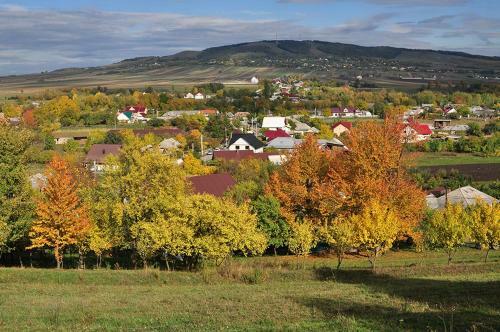 Bed & Breakfast Popamuseum Tarpesti-