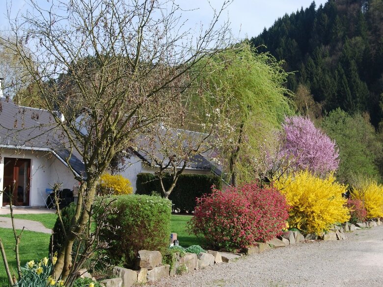 Cozy Holiday Home With Fire Place Close To Malm�dy