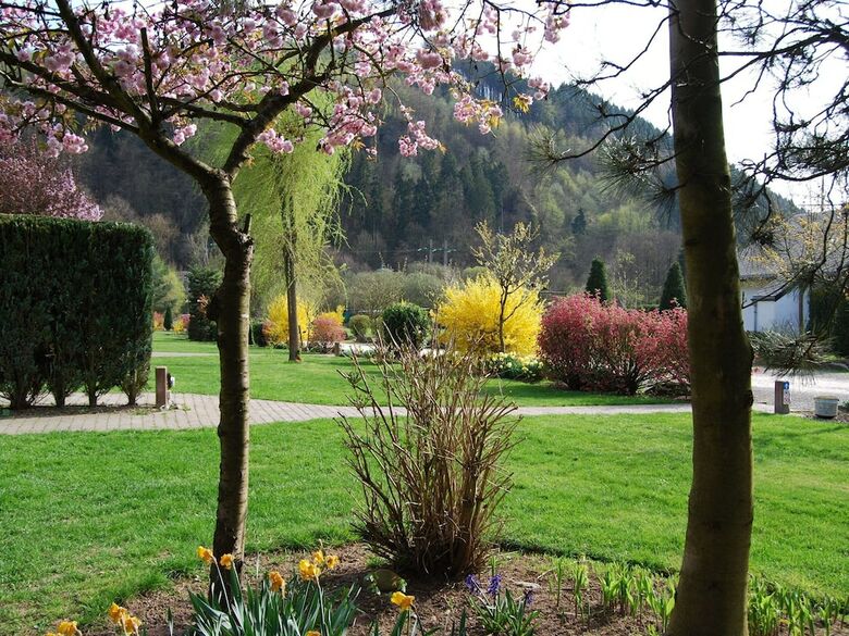 Tidy Holiday Home With Fire Place Close To Malm�dy
